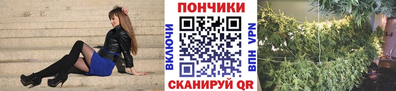 Продажа наркотиков Слободской Канабис  Галлюциногенные грибы  Гашиш  Мефедрон  mega зеркало  А ПВП  COCAIN 