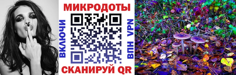 Псилоцибиновые грибы Cubensis  Слободской 